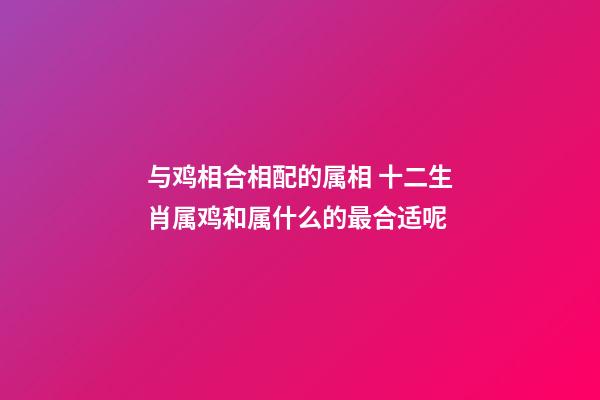 与鸡相合相配的属相 十二生肖属鸡和属什么的最合适呢